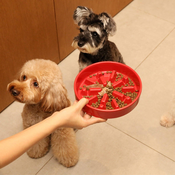 Wave Slow Feeder Dog Bowls