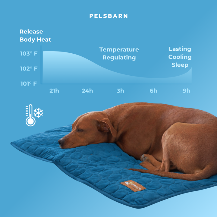 Natural Cooling Mat - Pelsbarn helps shelter dogs!