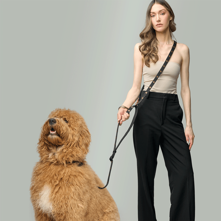Metro Hands Free Leash - Rockstar