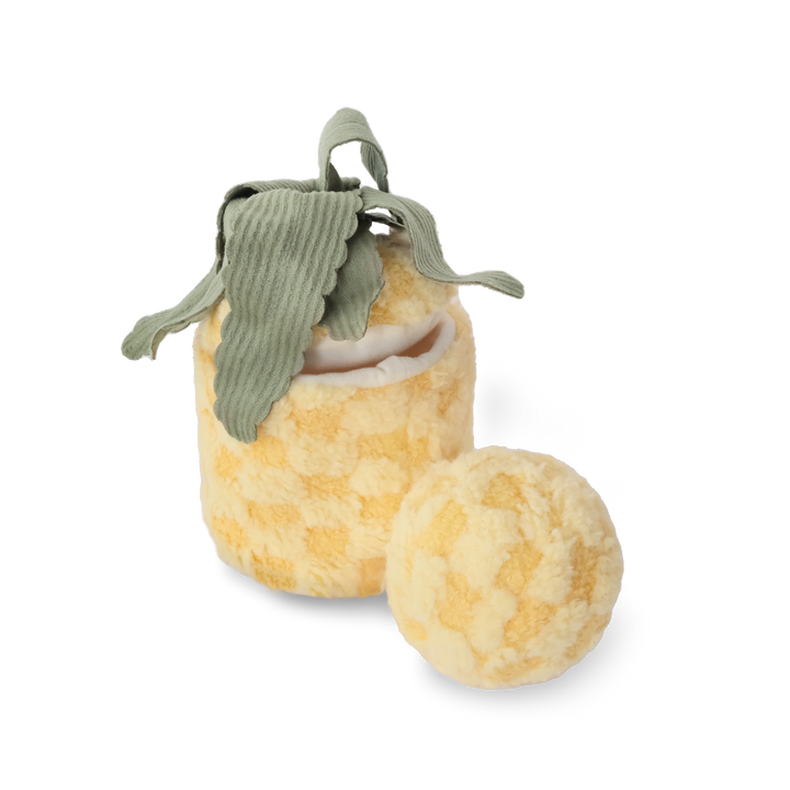 Pineapple Enrichment Dog Toy