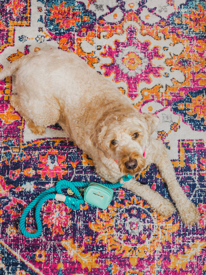 Ariel Green Rope Leash