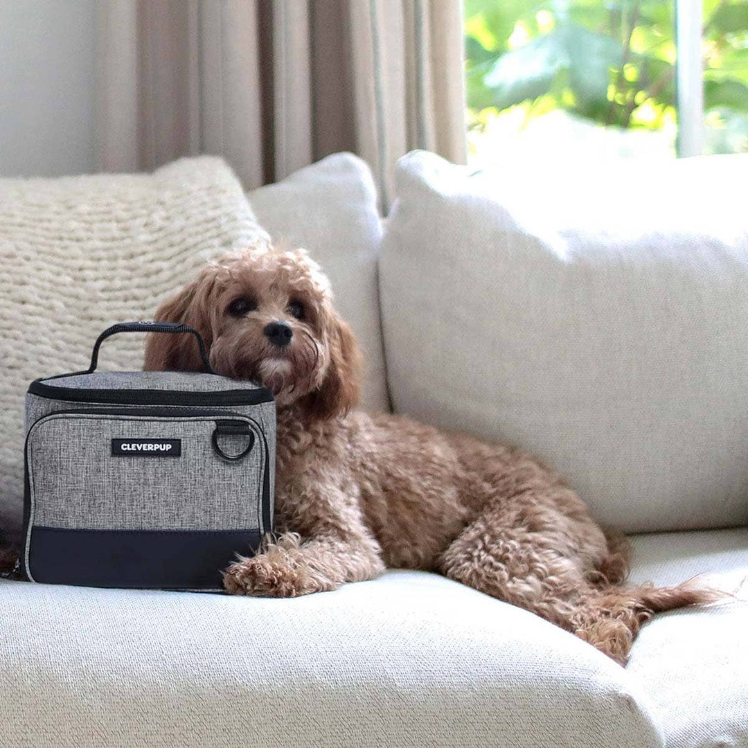 Bistro Box Dog Food Travel Kit