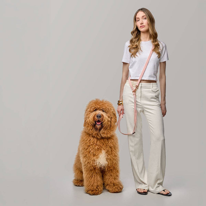 Metro Hands Free Leash – Blush