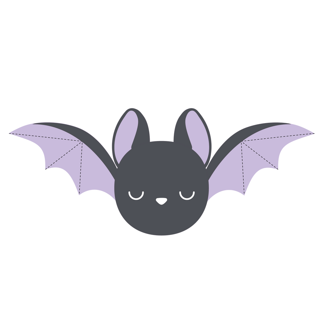 Bat 2-in-1 Bounce Dog Toy