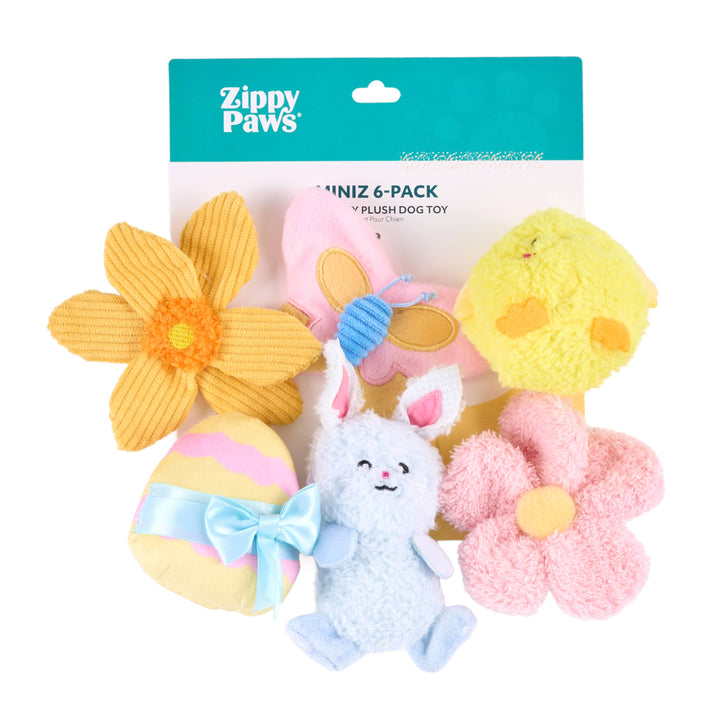 Miniz 6-Pack Spring Fling