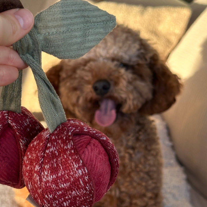Cherry Pop Enrichment Dog Toy