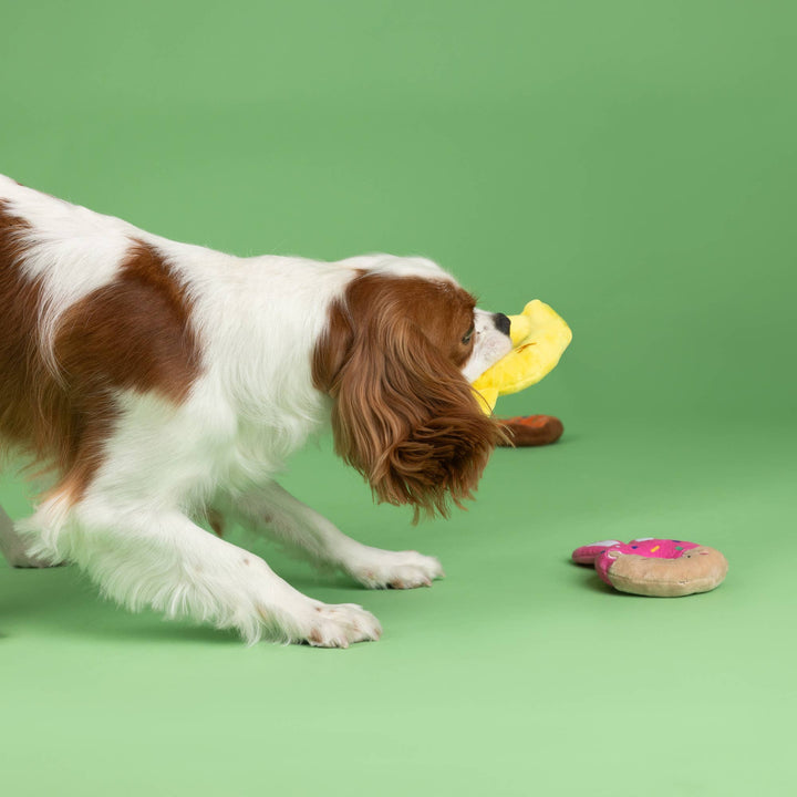 Holey Donuts 3 Pcs Small Dog Toy Set