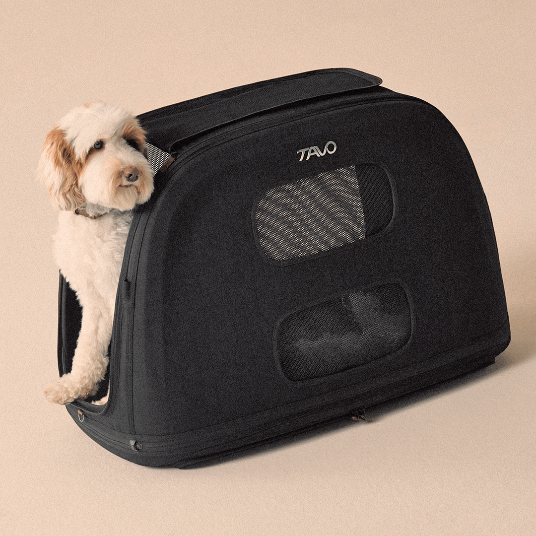 Crispin Pet Travel Crate Large