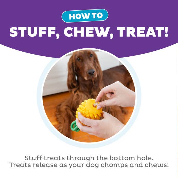 Dental Pineapple Dog Chew Toy