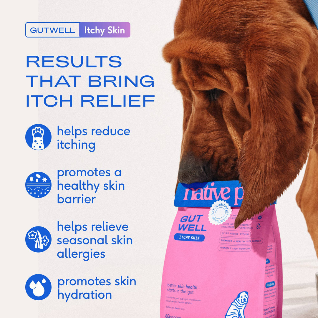 GutWell Itchy Skin, Anti Itch Supplement for Dogs