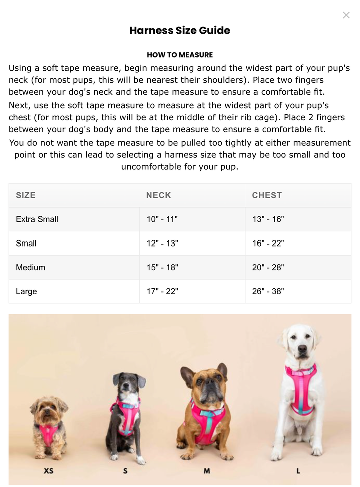 Atlas Blue No Pull Harness