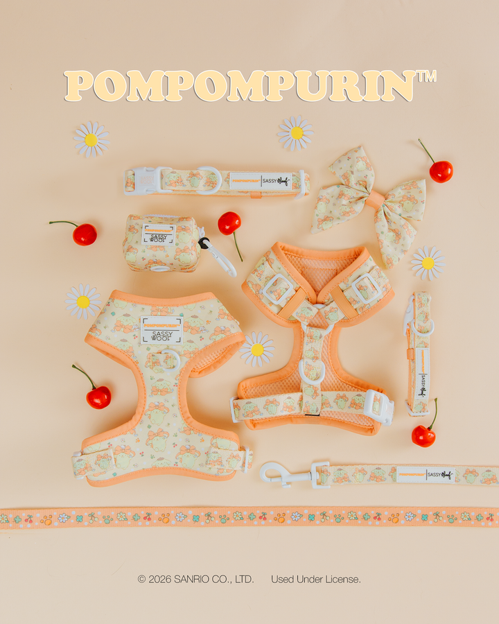 Pompompurin™ Dog Collar