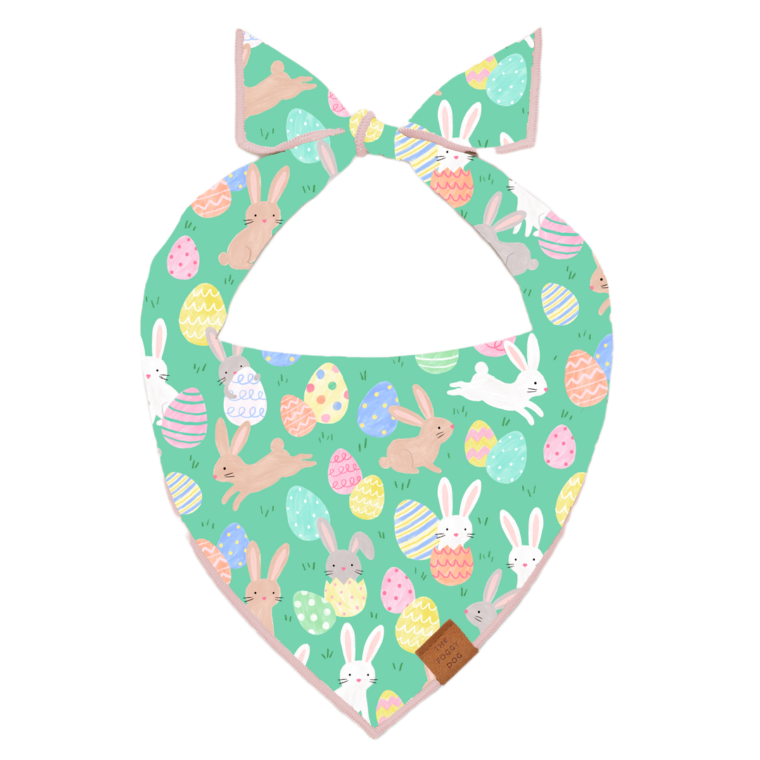 Hoppy Easter Reversible Dog Bandana