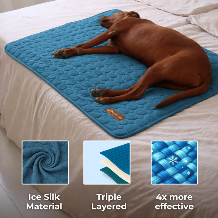 Natural Cooling Mat - Pelsbarn helps shelter dogs!