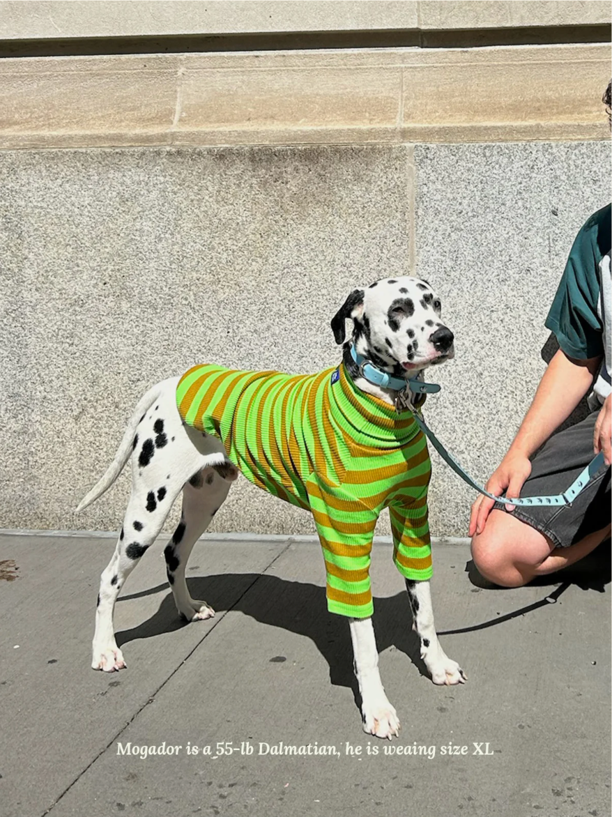 Fresh Grass Striped Shirt