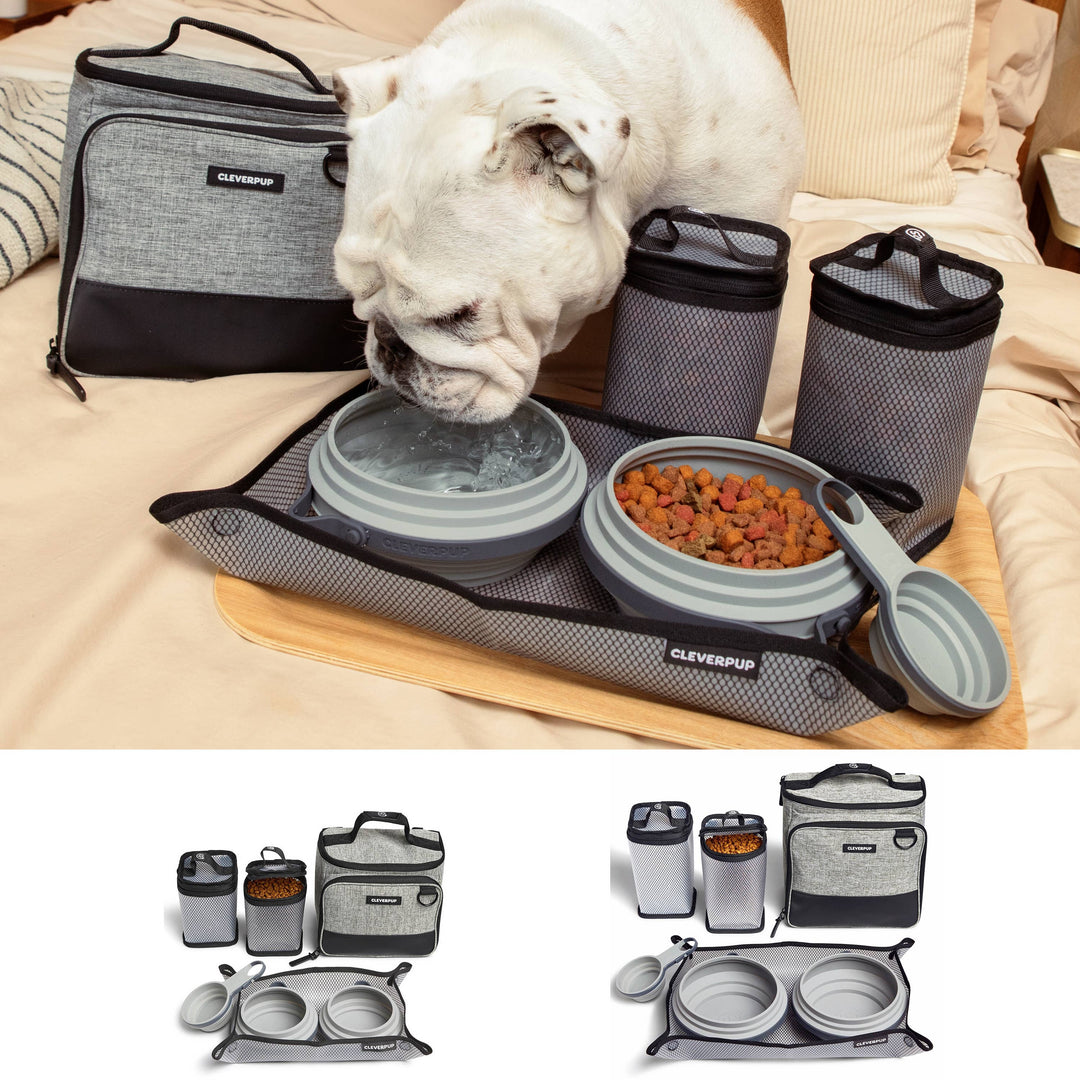 Bistro Box Dog Food Travel Kit