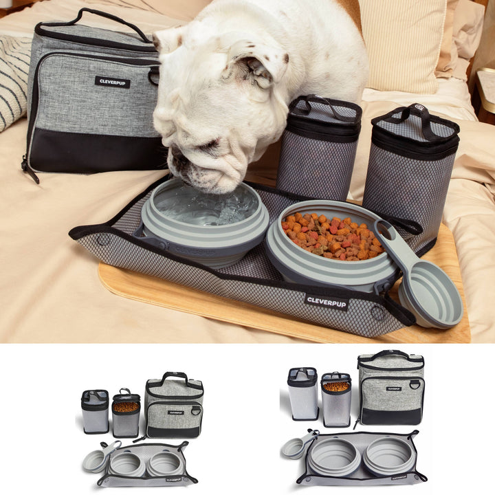 Bistro Box Dog Food Travel Kit