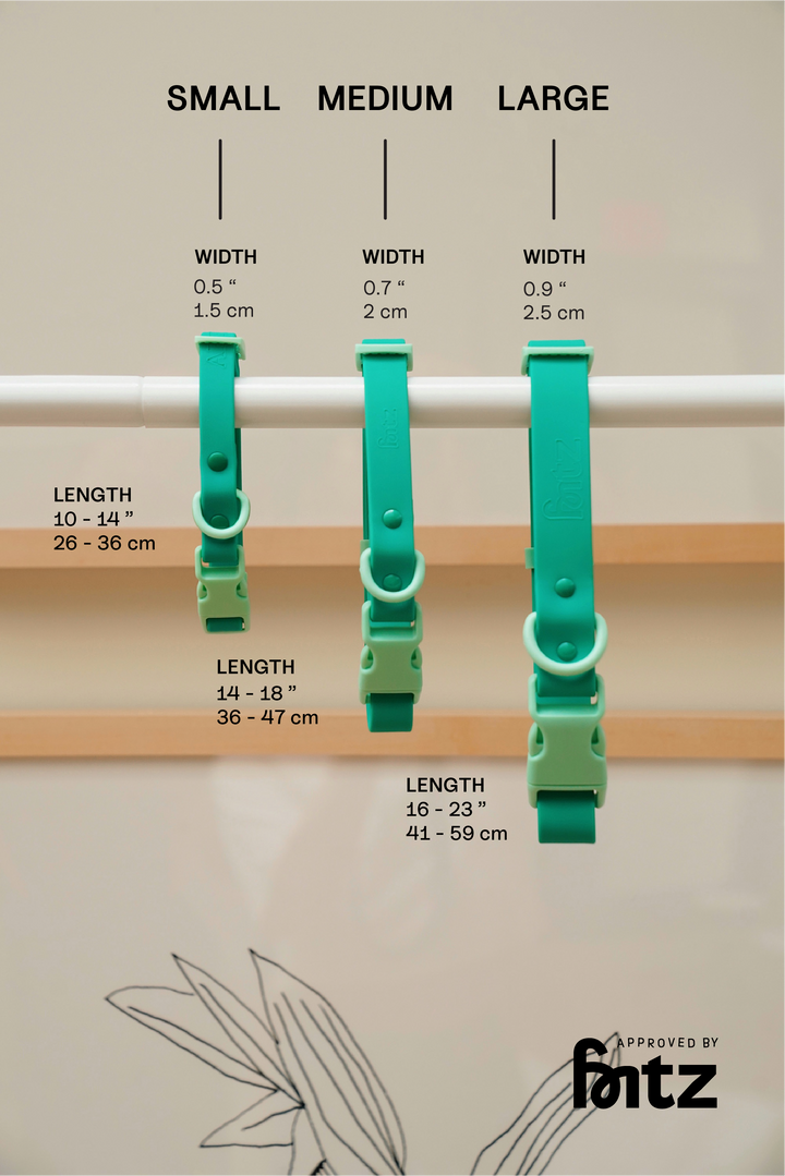 USA - The Fritz Dog Collar