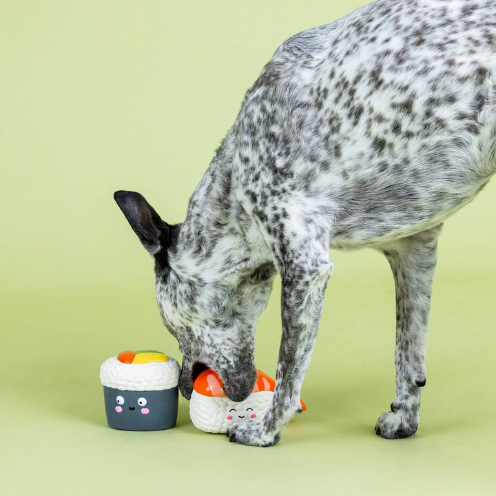 SOYMATES 2PC LATEX DOG TOYS