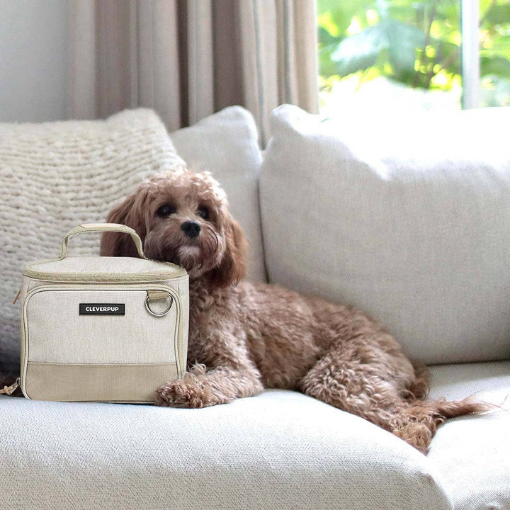 Bistro Box Dog Food Travel Kit