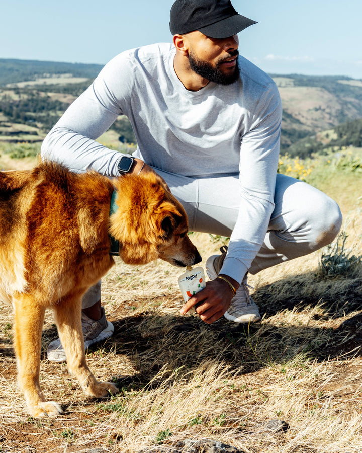 Organic Beef Squeeze Pouch for Dogs