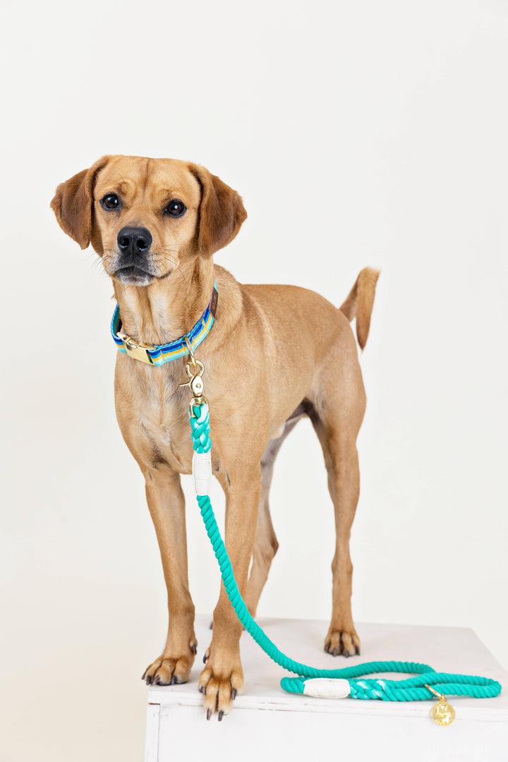 Ariel Green Rope Leash
