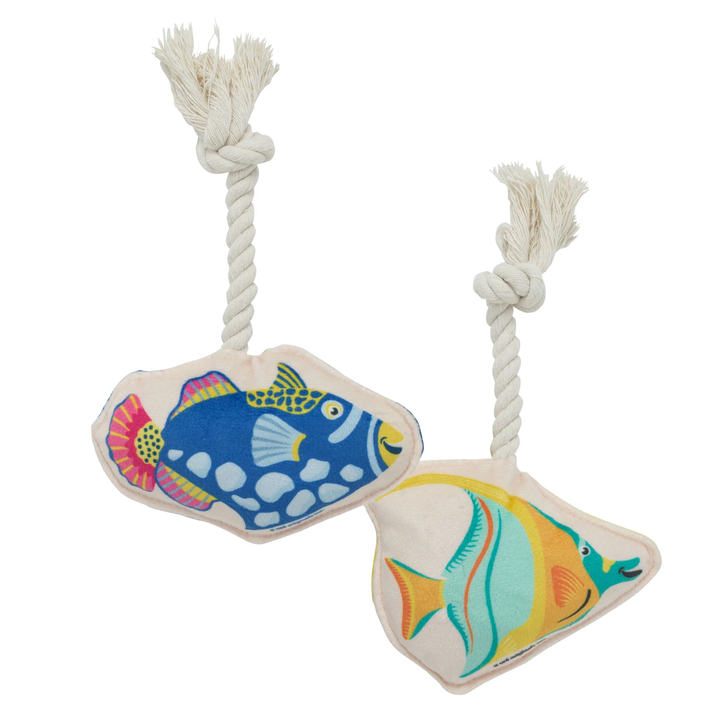 Speckle &amp; Spot | Mini Tropical Fish