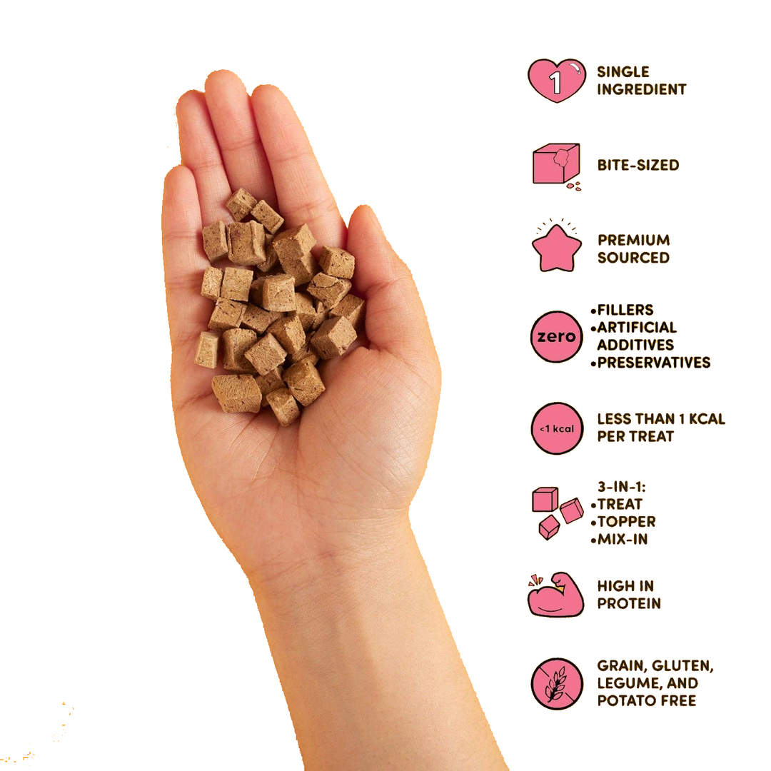 Beef Liver - Freeze Dried Raw Teeny Tiny Treats