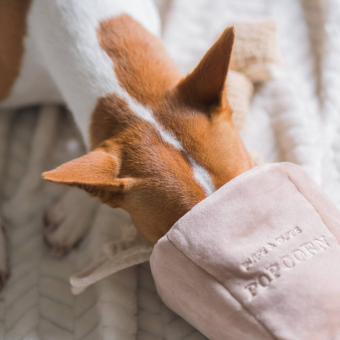 Popcorn Nosework Enrichment Toy | Snuffle | Squeaker