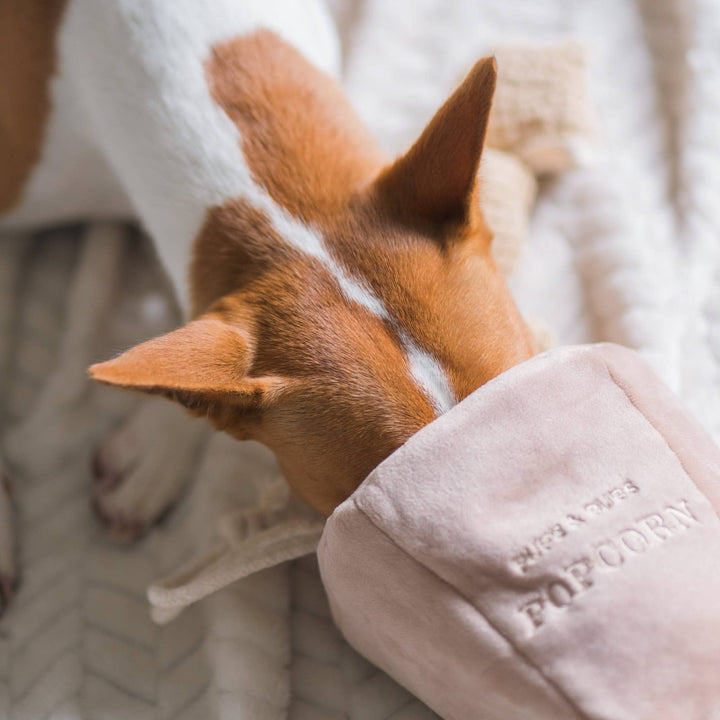 Popcorn Nosework Enrichment Toy | Snuffle | Squeaker