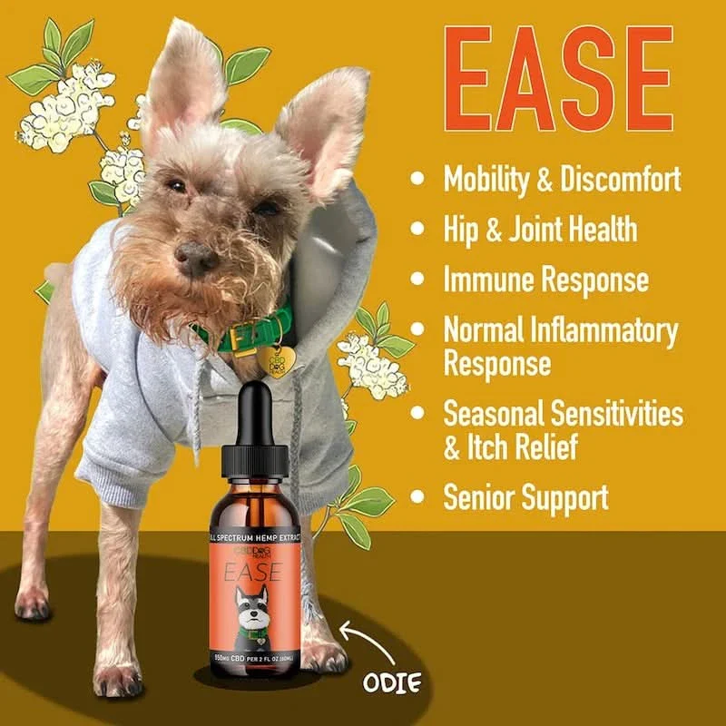 EASE: Organic CBD For Dogs - Mobility &amp; Itchy Dogs
