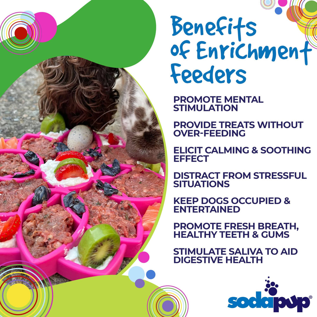 Mandala Design eTray Enrichment Tray