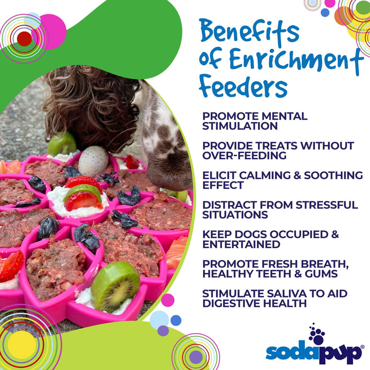 Mandala Design eTray Enrichment Tray