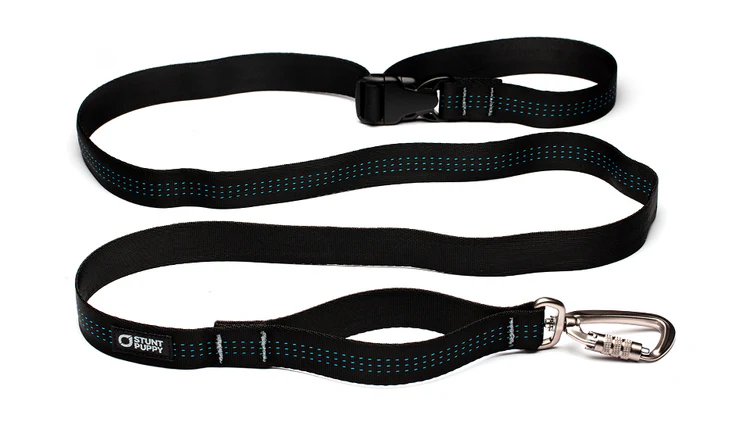 Everyday Leash Black / Regular