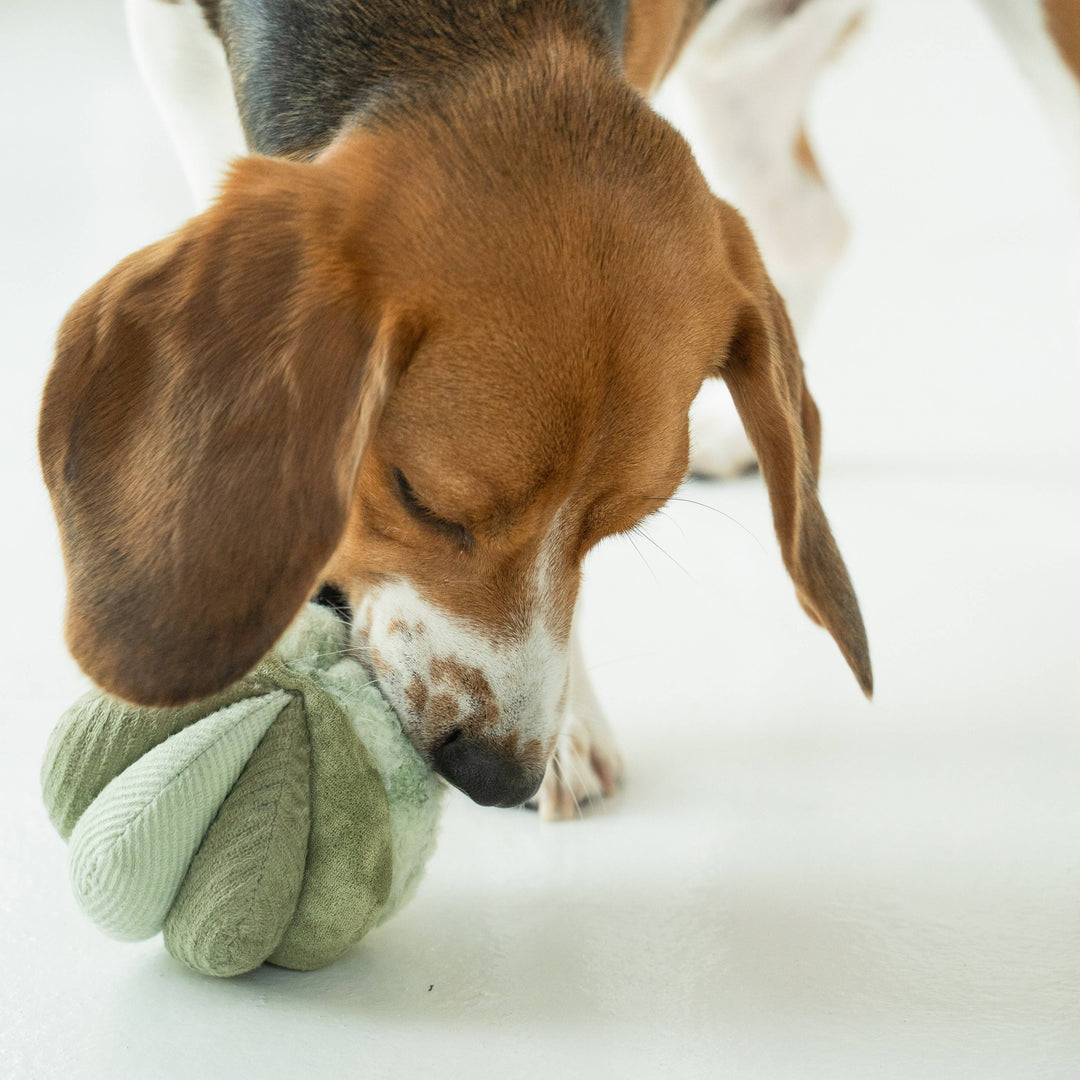Toto Petite Silent Snuffle Ball