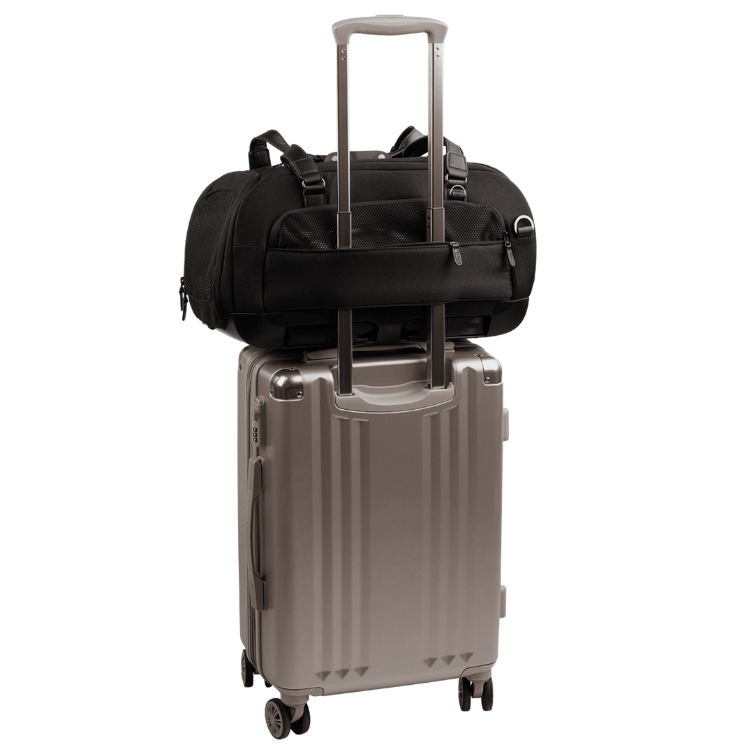 Dupree II Airline Carrier Pet Car Seat