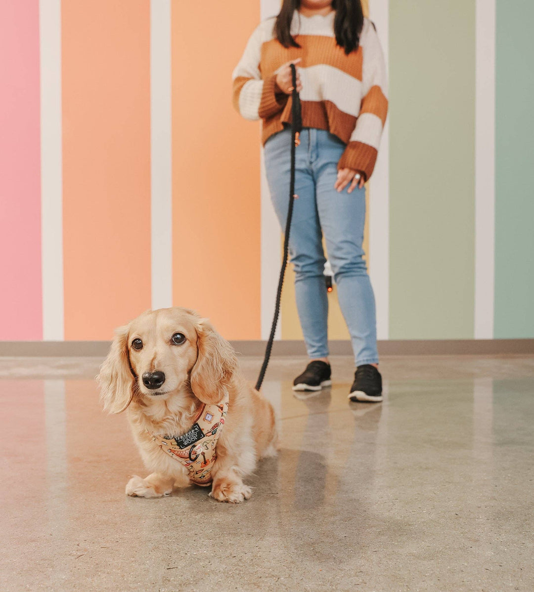 Hands Free Rope Leash Noir