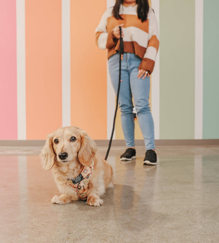 Hands Free Rope Leash Noir
