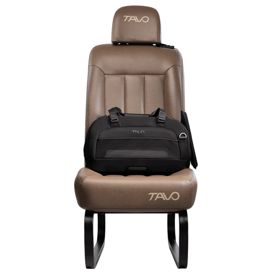 Dupree II Airline Carrier Pet Car Seat