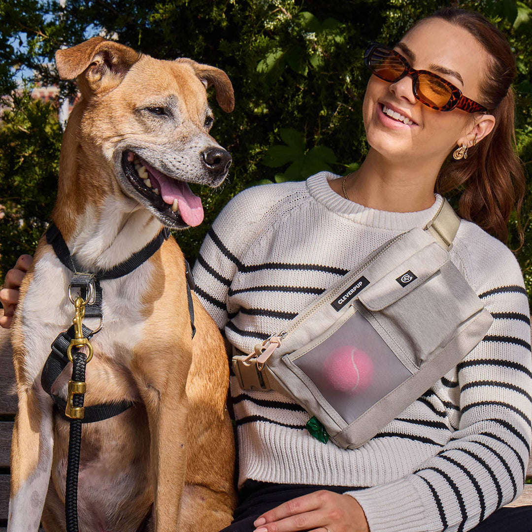 Dog Walk &amp; Train Sling Bag
