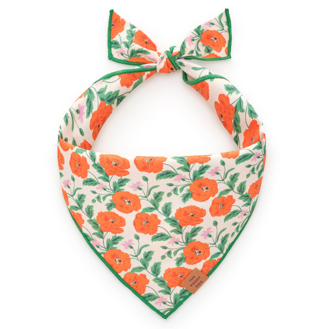 Golden Poppies Dog Bandana