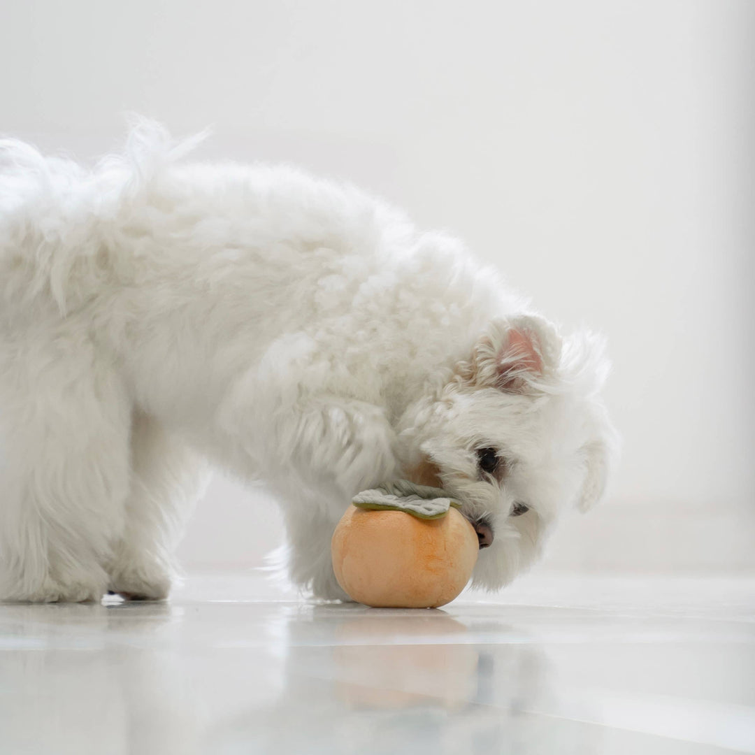 Fruit Set Enrichment Snuffle Toy Set