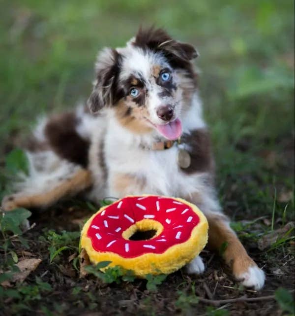 Donutz Cherry Dog Toy