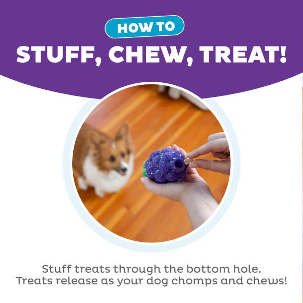 Dental Grapes Dog Chew Toy Purple, Medium