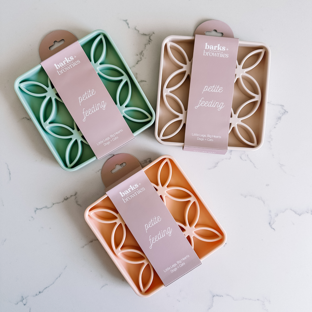 Petite Feeding - Small - Mint