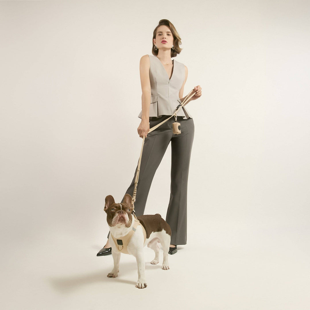 3-in-1 City Dog Leash - Dune