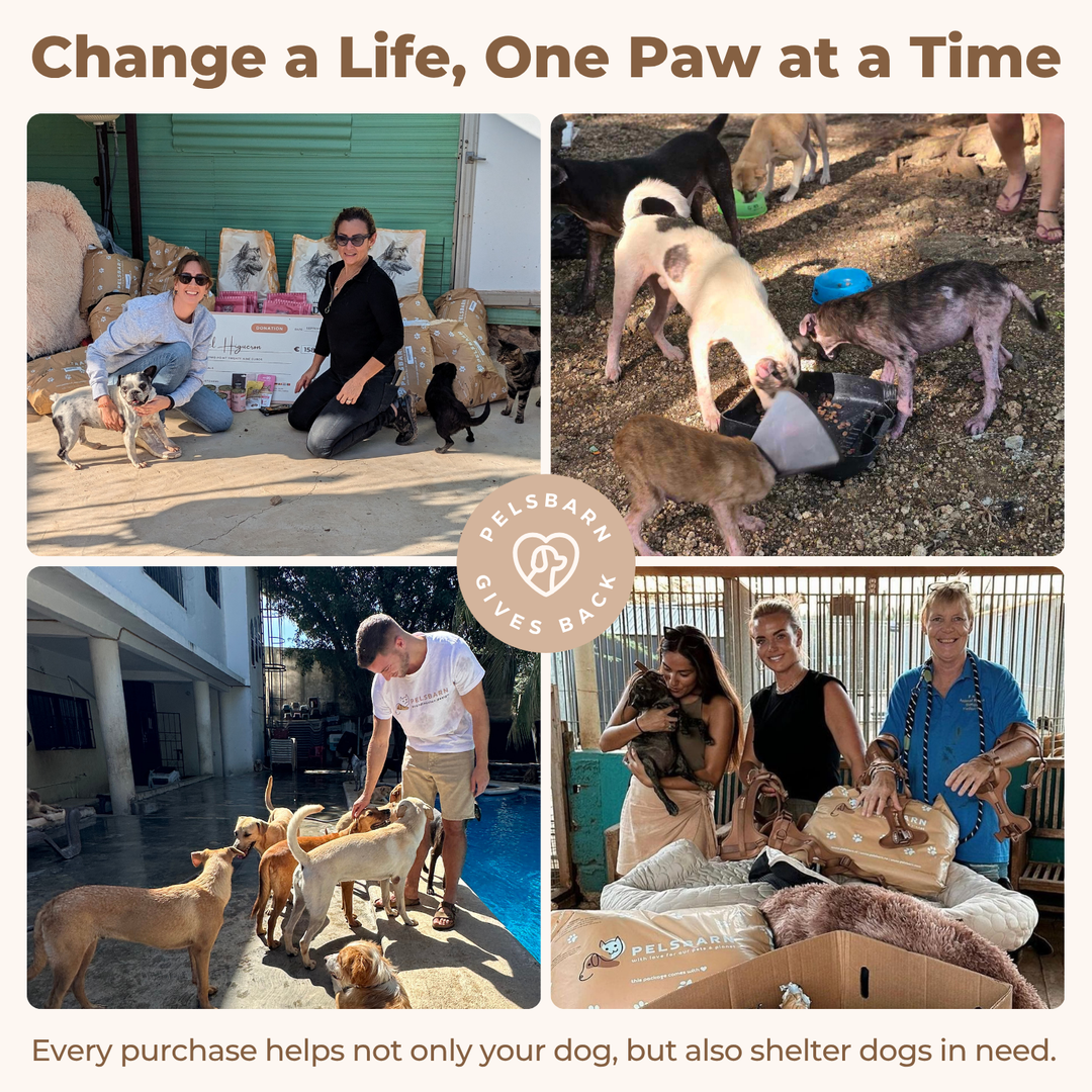 Natural Cooling Mat - Pelsbarn helps shelter dogs!