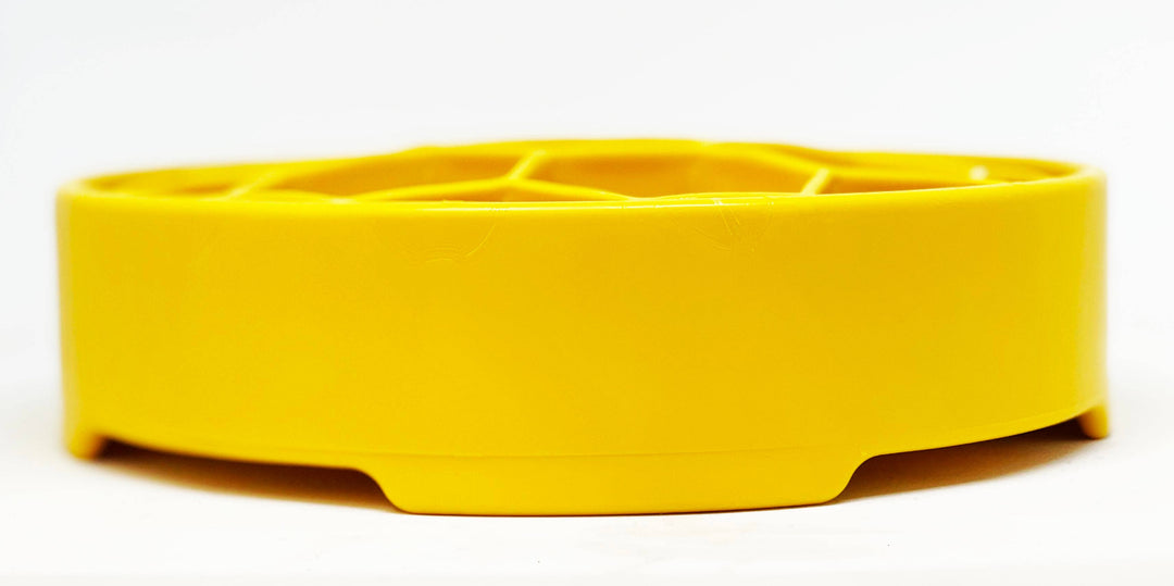 Honeycomb Design eBowl Enrichment Slow Feeder Bowl