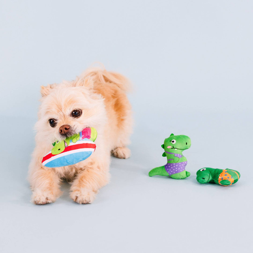 Rawrin Summer 3pc Small Dog Toy Set