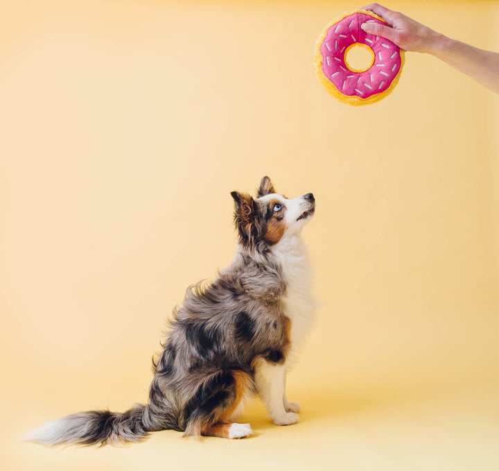 Junior Donutz Strawberry Large Dog Toy